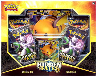 Hidden Fates - Collection (Raichu GX)