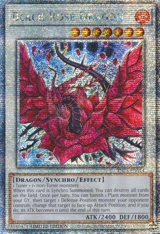 Black Rose Dragon Quarter Century Secret Rare (TN23-EN014) [TN23]