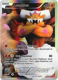 Landorus (BW43) [Black & White: Black Star Promos]