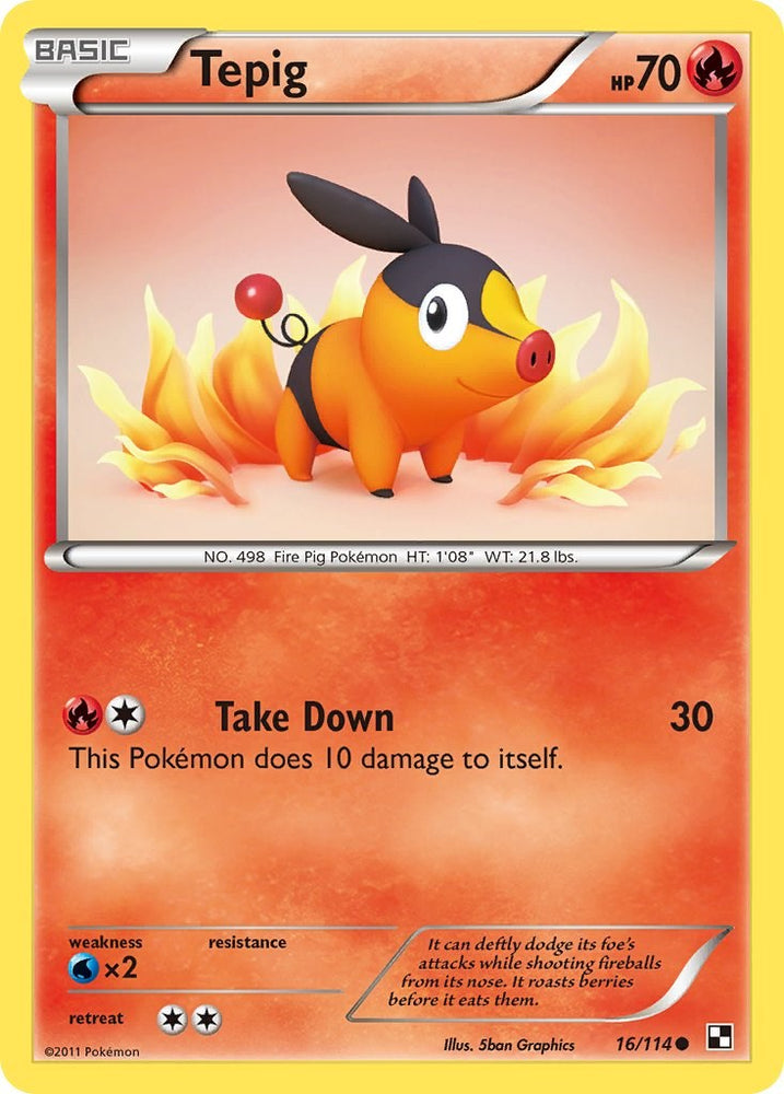 Tepig (16/114) [Black & White: Base Set]